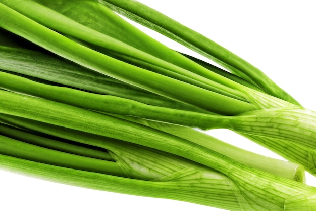 Young onion on white background. Close-Up. Isolated.