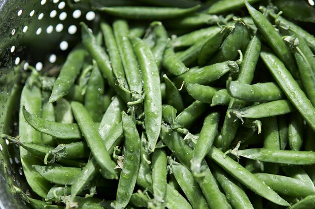 Young peas in pods in an iron colander Diet healthy eating