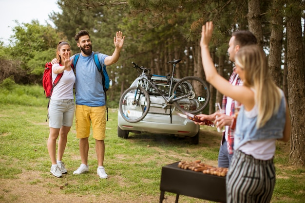 Young people enjoying barbecue party in the nature