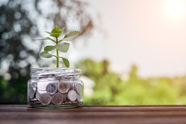 A young plant in a glass jar with coins as a concept for investing and saving