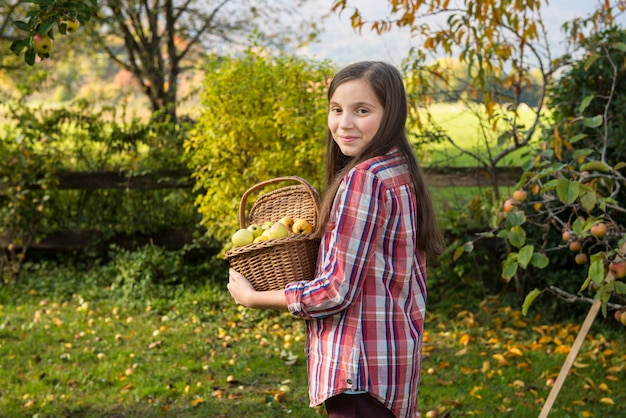 Young pre teenager picking apples in the garden