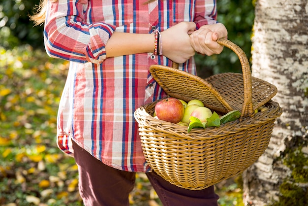 Young pre teenager picking apples in the garden