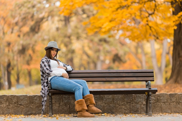 Photo young pregnant woman in the autumn park