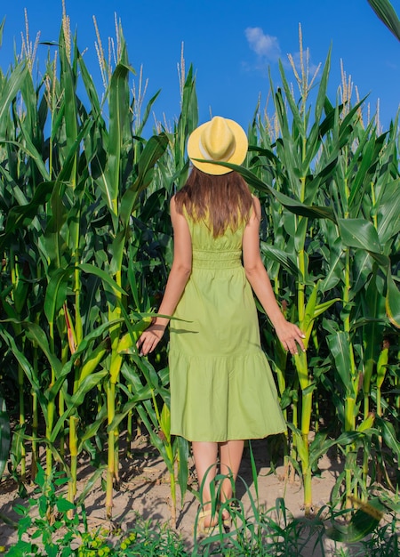 Young pretty woman in the yellow hat among the corn plants in the corn field in summer season Bereza Belarus