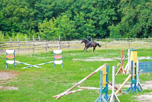 Young rider at show jumping Horse rider jumps over hurdle