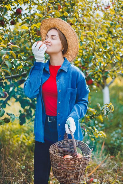 A young slim woman in a hat is a worker in the garden she looks at red apples in a wicker basket Harvesting apples in autumn