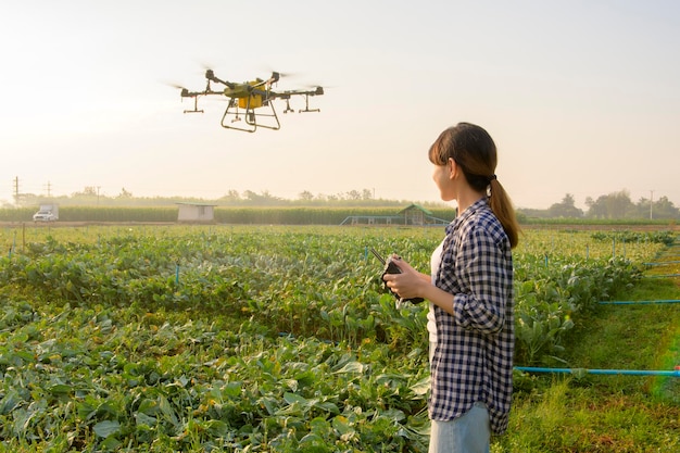 A young smart farmer controlling drone spraying fertilizer and pesticide over farmland