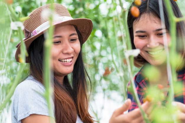 Young smiling agriculture woman worker in front and colleague in back and a crate of tomatoes in the front