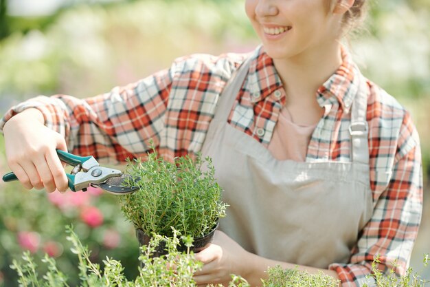 Young smiling female gardener in workwear using pliers while shortening green plants or seedlings against large flowerbeds in greenhouse