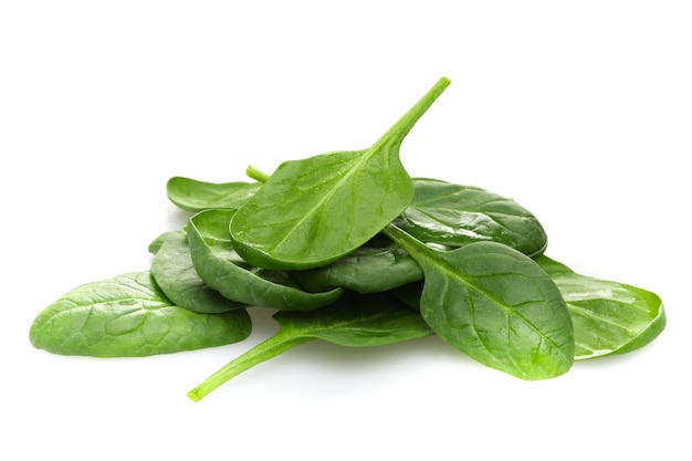 Young Spinach Leaves