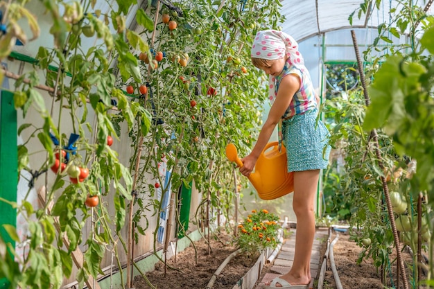 A young teenage girl in a rustic shawl is watering a vegetable garden in a greenhouse with a waterin