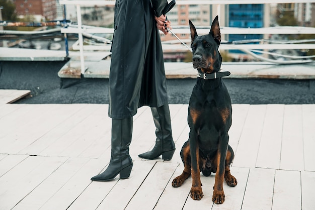 A young woman in a black coat holds a purebred black Doberman sitting next to her on a leash