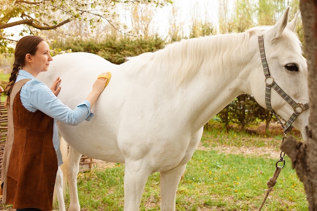 A young woman cleans a white horse with a yellow brush in nature