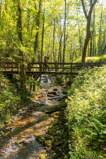 A young woman crossing a bridge in the Pagoeta park in Aia Guipuzcoa Basque Country