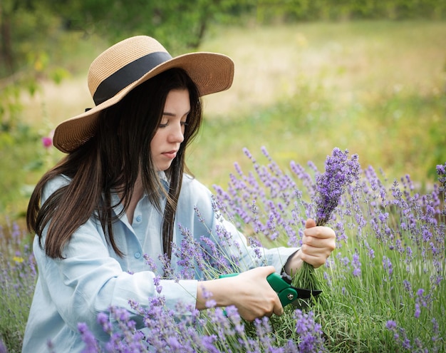 Young woman cutting bunches of lavender