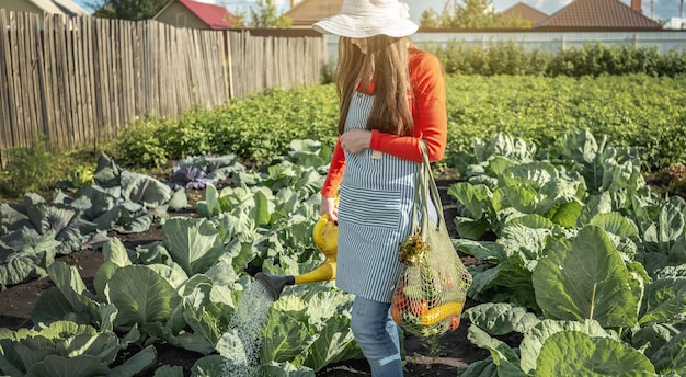 Young woman farmer agronomist collects fresh vegetables in the garden Organic raw products grown on a home farm