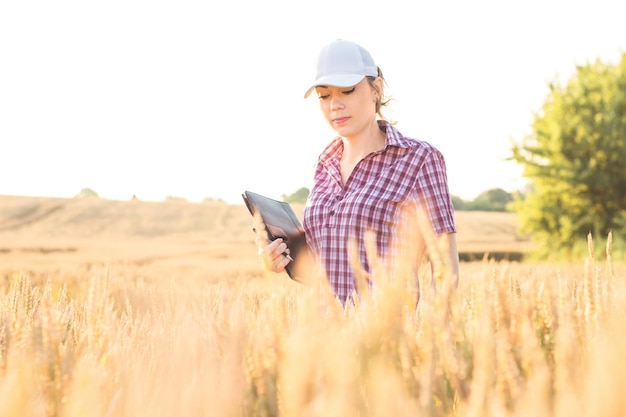 Young woman farmer works on a wheat field in the sun Business woman plans her income in the field