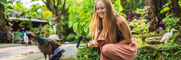 Young woman feeding an african sacred ibis banner long format