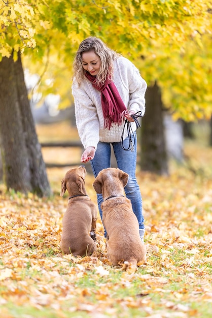 A young woman feeds her two dogs treats for obedient behavior