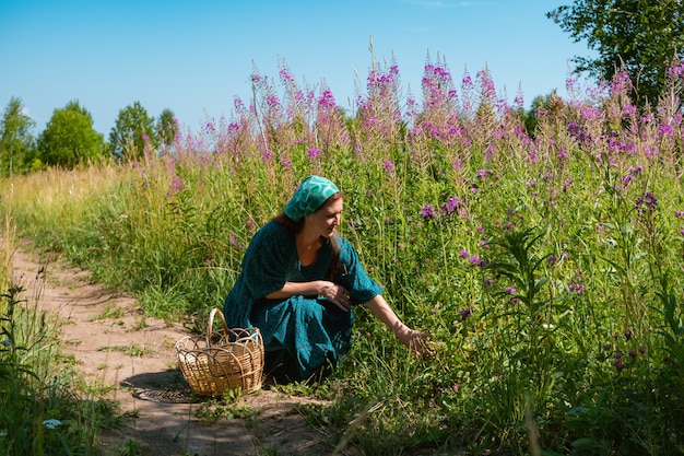 Young woman in folk peasant clothes with a wicker basket some wild plants in the meadow