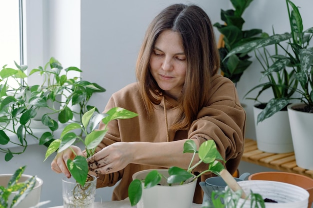 A young woman gardener potting young houseplant in a flowerpot taking it from a glass with water