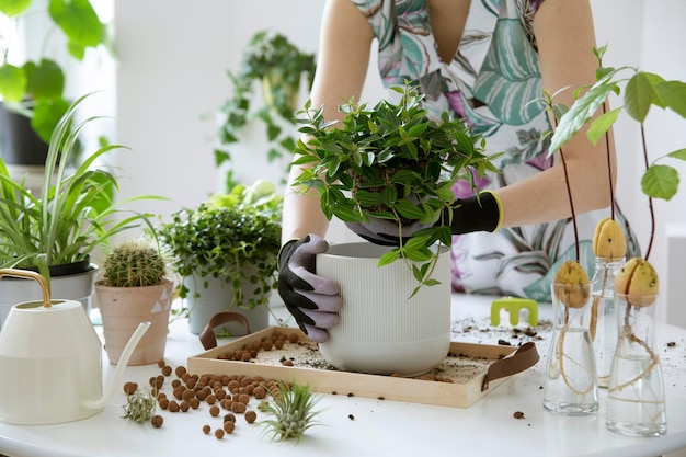 Young woman gardener takes care of green plants in stylish marble ceramic pots Plants love Concept of home garden Spring time Stylish interior with a lot of plants Template