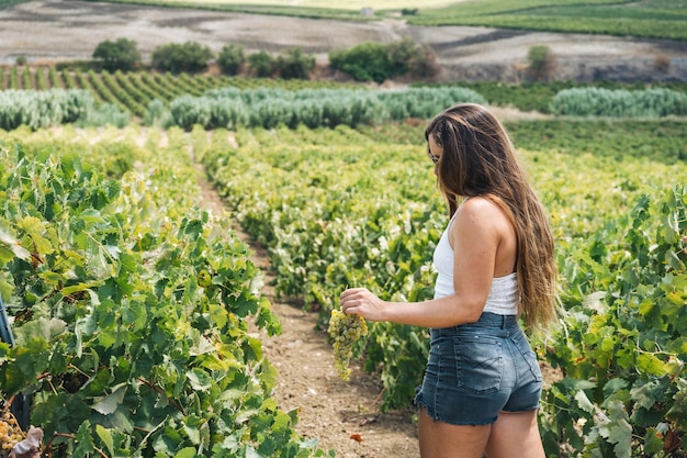 Young woman on her back holding a bunch of grapes in a wine farm