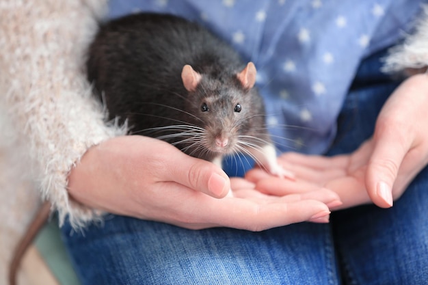 Young woman holding cute rat closeup