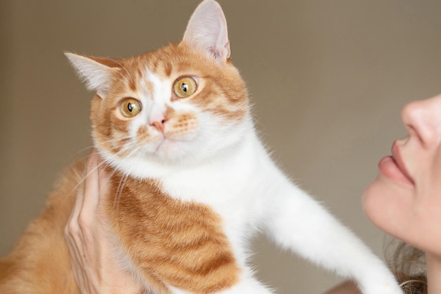 Young woman holds cute ginger cat on her hands