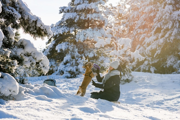 A young woman plays with her American Cocker Spaniel in the winter forest among the snowcovered pine trees The dog is jumping for a toy