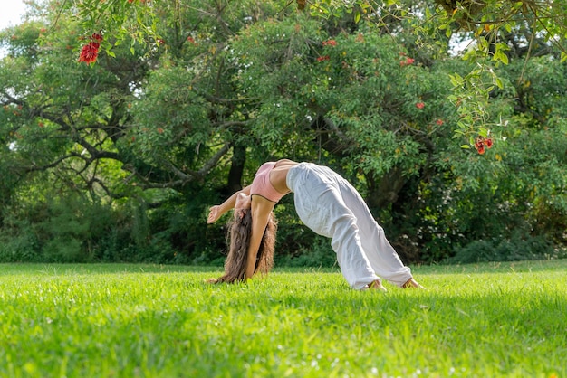 Young Woman Practicing Yoga in a Green ParkWellness Concept