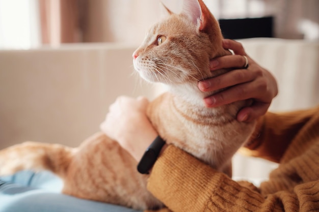 Young woman resting with pet in sofa at home