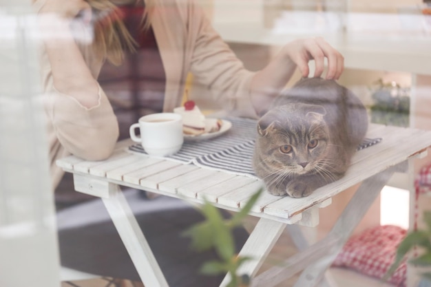 Young woman sitting at table in cat cafe view from outside