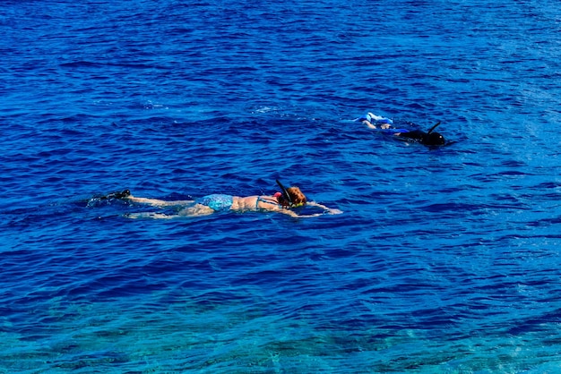 Young woman snorkeling in a Red sea Summer vacation concept