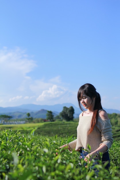 Young woman stand in the tea plantation surrounded by sky and mountain view.  Choui Fong tea plantation at Chiangrai, Thailand.