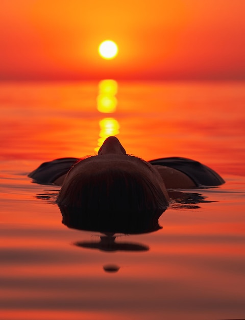 Young woman swimming in the sea on sunrise