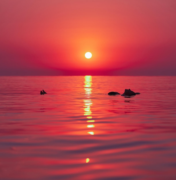 Young woman swimming in the sea on sunrise