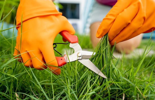 A young woman takes care of the garden and cutting grass