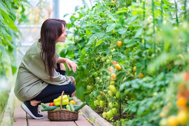 Young woman with basket of greenery and vegetables in the greenhouse. Harvesting time