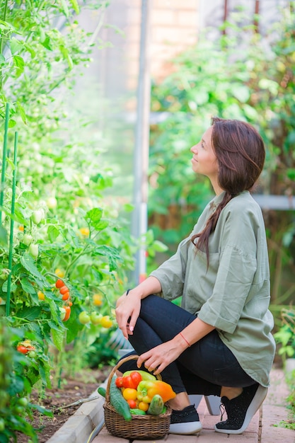 Young woman with basket of greenery and vegetables in the greenhouse. Harvesting time