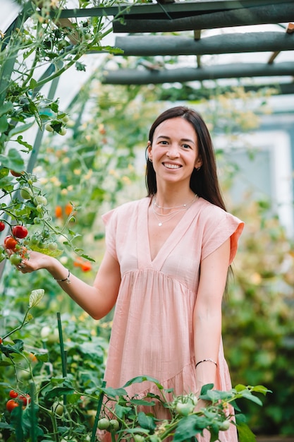 Young woman with basket of greenery and vegetables in the greenhouse. Harvesting time