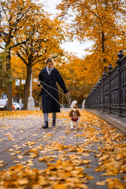 A young woman with a dog walks in the autumn park