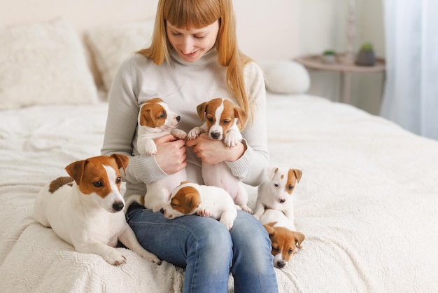 Young woman with her cute Jack Russell Terrier in a chair at home white pet