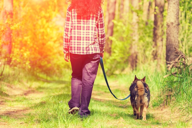 Young woman with her dog walking in the forest at sunset