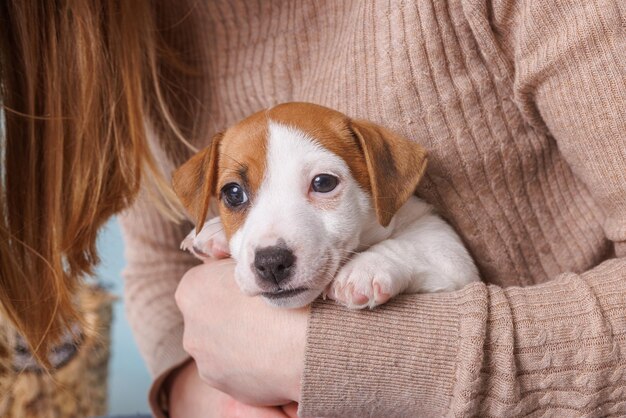 Young woman with her puppy Jack Russell Terrier