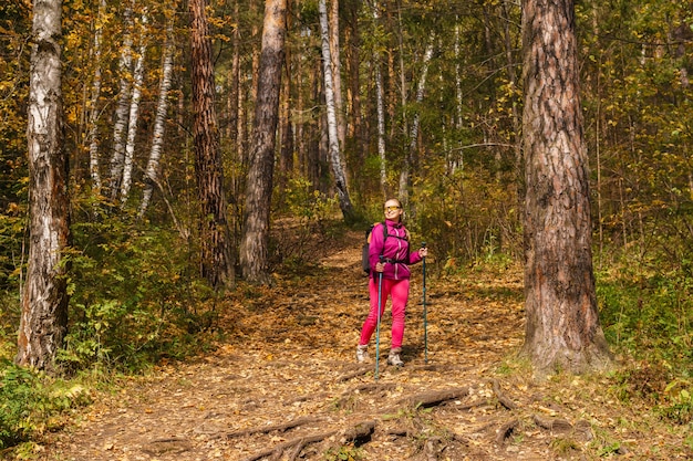 Young woman with poles for walking and a backpack is engaged in trekking in the autumn forest