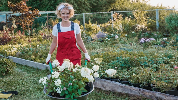 A young woman with a wheelbarrow is working in the garden The gardener is transporting pots of flowersGardening and floriculture Growing flowers in the home garden