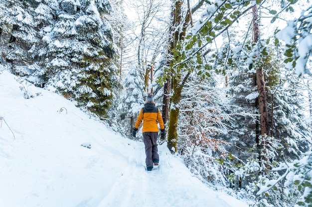 A young woman with a yellow jacket in the snowy forest of the Artikutza natural park in oiartzun