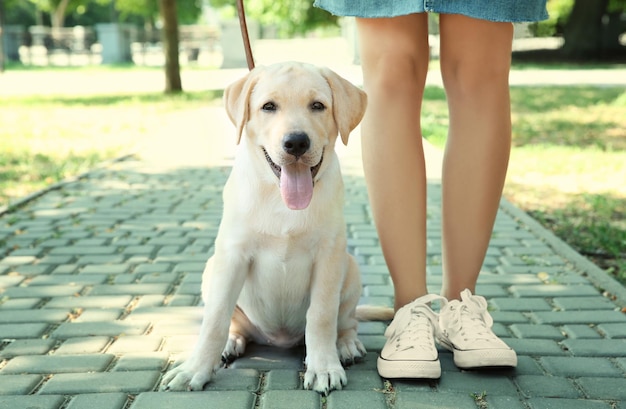 Young woman with yellow retriever in park