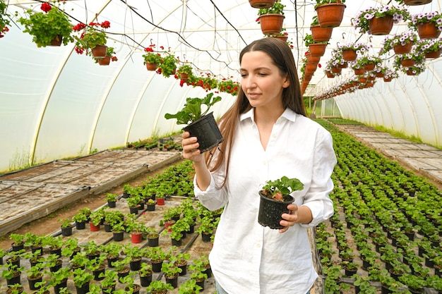 Young woman working in greenhouse and enjoying in beautiful flowers Gardener holding and examining flower seedlings